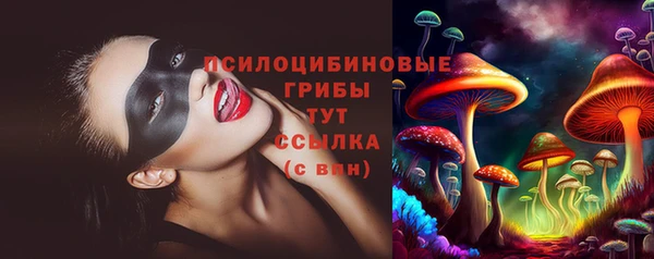 тгк Кулебаки