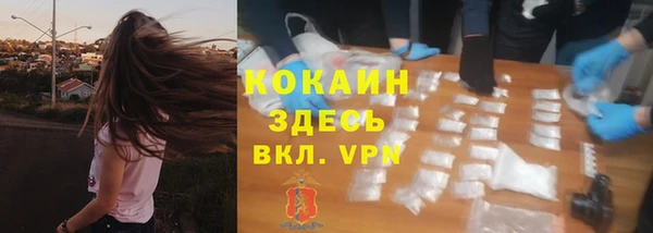 тгк Кулебаки