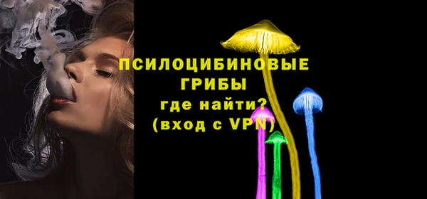 тгк Кулебаки