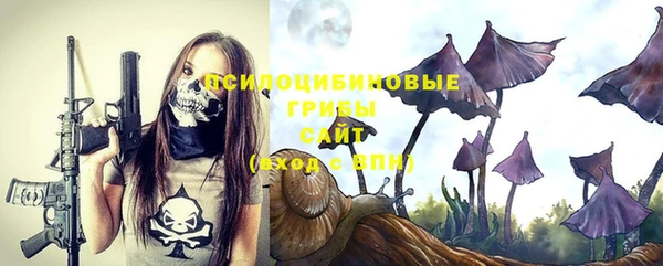 тгк Кулебаки