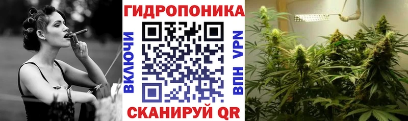 цены наркотик  Игра  blacksprut   МАРИХУАНА сатива 